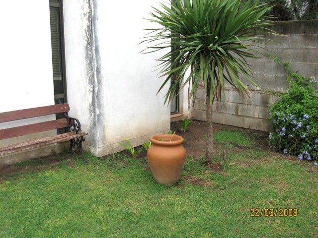 Palmeras De Jardin